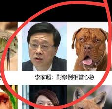 카피툰은 네이버웹툰 다음웹툰 카카오웹툰 레진코믹스 짬툰 투믹스 탑툰 만화책 미리보기 및 다시보기를 제공합니다. çœ¾æ–°èž å¥½å¾ˆæ¨£è¡°çš„é£Ÿå±Žå®¦å®˜