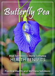 Health Benefits Of Blue Ternate Butterfly Pea Clitoria Ternatea Ternate Plant Benefits Butterfly Pea