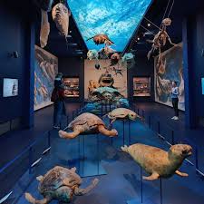 Visita al Museo della Natura e dellUomo a Padova - DivertiViaggio
