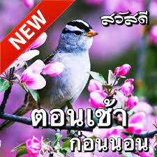 What's the thai translation of good morning? Thai Good Morning Good Night Wishes Messages Amazon De Apps Spiele