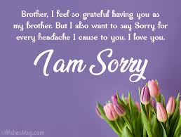 Having a little sibling is such a bliss, you have the opportunity to play with them forever, at the same time you have the added responsibility to take the care of them and teach them. Sorry Messages For Brother Apology Quotes Wishesmsg