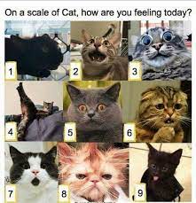 59,752 views • 4 upvotes • made by sgarson 4 years ago. 18 Meme Mood Scale Ideas How Are You Feeling Emotion Chart Interactive Posts