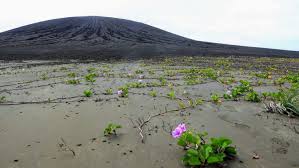 Mysterious Island That Formed In The Pacific Ocean Is Here To Stay Island South Pacific Tonga