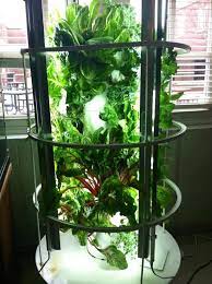 Juice Plus Tower Garden Aeroponic Sustainable Growlights Www Nikkiskidmore Towergarden Com Juice Plus Tower Garden Tower Garden Juice Plus