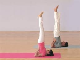 The headstand pose involves going against gravity. Sivananda Yoga Poses Page 5 Line 17qq Com