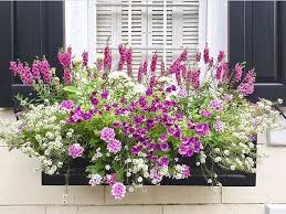 Pin Di Maryte Arias Su Window Boxes Giardinaggio Fiori