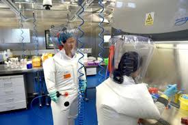 Want to see sample letters of recommendation for college? Covid 19 Lab Leak Theory Puts Wuhan Research In Spotlight Financial Times