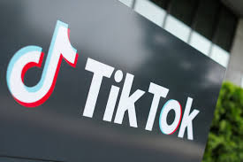 Faça o download usando seus navegadores: Tiktok Saga Second Us Judge Blocks Trump S Ban App In Limbo Donald Trump News Al Jazeera