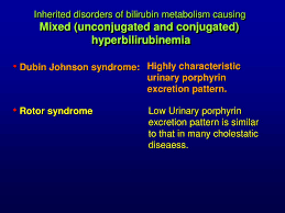 Ppt Bilirubin Metabolism And Jaundice Powerpoint