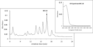 Difference between ldr ( photo resistor ) & photo diode, ldr is the most commonly used photo sensor. High Performance Liquid Chromatography With Photodiode Array Detection Download Scientific Diagram