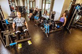 Openai gym is an awesome tool which makes it possible for computer scientists, both amateur and professional, to experiment with a range of different in this article, i will provide the instructions for how i got openai gym up and running on my windows 10 pc. How To Design And Layout A Functional Commercial Gym Fitness Gallery