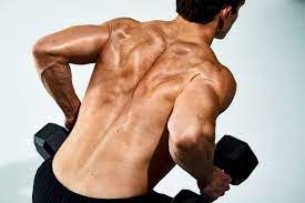 Side plank variations to step up your practice · 2. The Best Back Exercises The Only Workout You Need For That Perfect V Shape Torso Gq