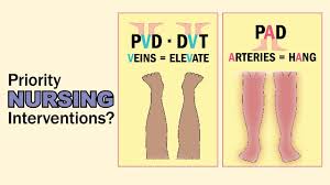 Pad Vs Pvd Top 2 Tested Nursing Treatments Memory Tricks Exams Nclex