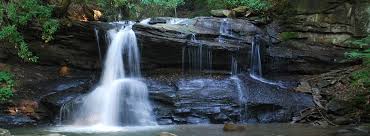 Visitors will find a variety of recreational activities to do here which include: Holly River State Park Outdoorsy
