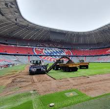 Sân vận động allianz (vi); Grun Aus Alt Zachun In Munchen Mecklenburger Rasen Fur Die Allianz Arena Svz De