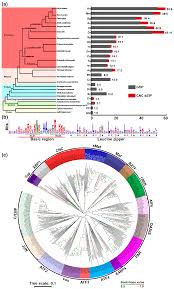 The dark side of the force is a pathway to many abilities, some considered to be unnatural discussion in ' revenge of the sith ' started by grievouskiller , jul 11, 2005. Ijms Free Full Text Nach Is A Novel Subgroup At An Early Evolutionary Stage Of The Cnc Bzip Subfamily Transcription Factors From The Marine Bacteria To Humans Html