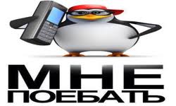 images?q=tbn:ANd9GcQMSem6IOJk-h2ksEaLLaq