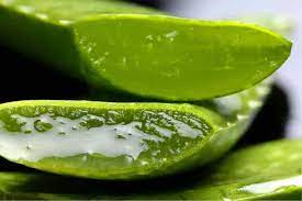Aloe vera contains natural polysaccharides that help to strengthen and thicken hair, and you can even drink it for an extra boost in hair nutrition. How To Use Aloe Vera Juice For Natural Hair Growth Loving Kinky Curls
