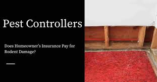 The pest control operator may suggest that you do not need a complete treatment, but ultimately, the will this treatment protect my entire house? Does Homeowner S Insurance Pay For Rodent Damage Pest Control Products