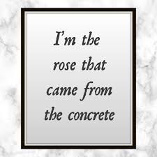 I M The Rose That Came From The Concrete Cardi B Chance The Rapper Lyrics Printable Best Life R Cardi B Quotes Rose Quotes Chance The Rapper Quotes