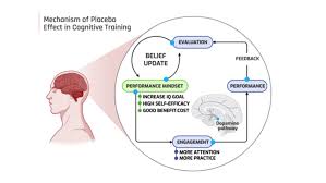 Image result for training effect schema