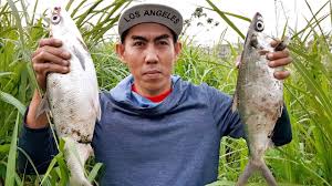 Rantai putih juni 21, 2021. Tips Mencari Spot Mancing Terbaik Cara Mengetahui Tempat Ampuh Mancing Ikan Nila Youtube