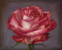 Using oil paints,acrylic paints, pastels, painting in pastels, lessons for beginners, advanced, lessons for. Delicate Hyper Realistic Paintings Of Roses By Gioacchino Passini Designwrld