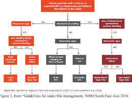 Here are a few symptoms that are particular to specific. A Descriptive Study On The Clinical Profile Of Snake Envenomation In A Tertiary Care Center In Tamil Nadu And The Diagnostic And Prognostic Utility Of Serum Phospholipase A2 In Various Envenomation Syndromes