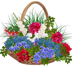 A basket of fruit might seem like a simple thing to sketch, but it teaches you a variety of useful drawing skills. Drawing Of The Flowers In A Wicker Basket Free Image Download