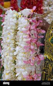 Leis hi-res stock photography and images