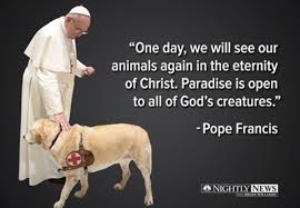 Pin By Judith Van On Pets Pope Francis Dogs I Love Dogs