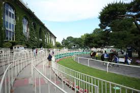 Here's how you can watch, plus the odds and post time. Chnpnv4xck9kfm
