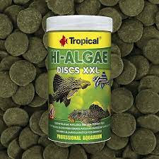 tropical high algae disc xxl 50 gr tablet yem acik paket tablet yemler tablet balik yemleri cesitleri ve fiyatlari spirulina balik yemleri balik
