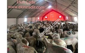 Ucretsiz Ilan Ver Ucretsiz Ilan Siteleri Ilan Ver Sahibinden Ilan Ver