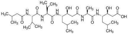 Image result for Peponium sp. A