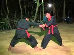 Pin Em Silat