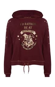 Nos coups de coeur sur les routes de france. Harry Potter Has Arrived At Primark And We Have All The Details In 2021 Harry Potter Hoodie Harry Potter Outfits Harry Potter Accessories