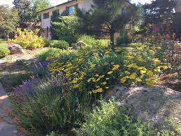 Feature your favorite plants, so you can see the design before digging at all. it is user friendly and has features that include a virtual pen, the ability to insert objects and more. Xeric Front Yard Garden Southwestern Landscape Denver By Online Landscape Designs Houzz