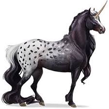 Image result for howrse unicorns