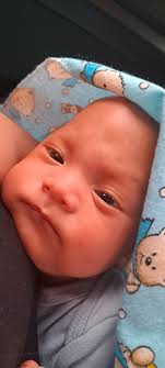 Hello! Has anyone here had a child with lobar holoprocencephaly,  ventriculomegaly, cleft palate, absent CSP, hypoplastic cerebellum,  abnormal thalami, and abnormally positioned third ventricle? Or any  combination of these things? Did they