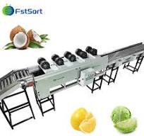 Factory Price Coconut Grading Machine by Range of Weight Large Capacity  Coconut Sorting Processing Equipment
