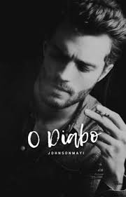 AMOR INDECENTE (DEGUSTAÇÃO) livro 04