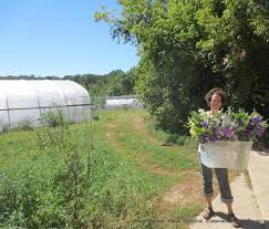 Delivery of flowers in oregon can help you in any moment of day or night to glad your friends or relatives by charm of flowers arrangements, to bouquets created by our florists are always glad with their uniqueness and soleness. Farm To Vase Madison Wisconsin Our Partner Farms