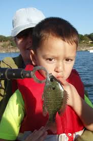 2015 Fishing Reports