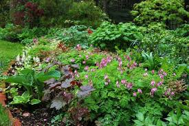 Add plants with attractive foliage, flowers, and brightly colored containers to shady corners. Ledge And Gardens Shade Plants Shade Perennials Shade Garden