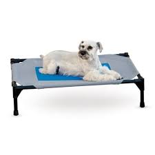 Your new furry friend has a lot to learn when you bring absorbent training pads aren't just for puppies. K H Cooling Pet Cot 42 L X 30 W Petco Dog Cots Pet Pads Waterproof Dog Bed