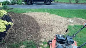 Serving camp hill, lemoyne, mechanicsburg, new cumberland, wormleysburg. Tlc Organic Lawn Care