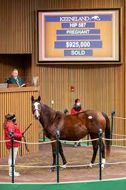 Keeneland January Horses Of All Ages Sale Produces Steady Market Keeneland