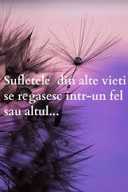 Pin On Quotes And Sayings