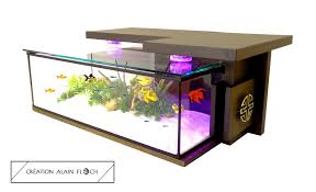 Epingle Sur Table Basse Aquarium Terrarium Vivarium Design